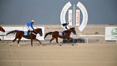 ميدان-فروسية-الجبيل-يقيم-سباقه-السابع-لموسم-1447هـ