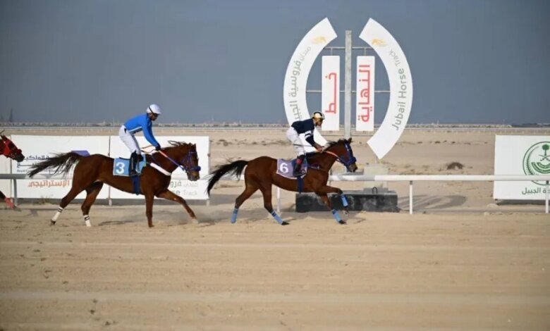 ميدان-فروسية-الجبيل-يقيم-سباقه-السابع-لموسم-1447هـ