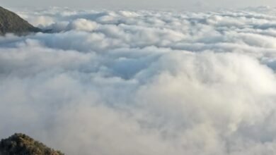 روعة-الطبيعة-السعودية.-السحب-تشكل-مشهدًا-أخّاذًا-فوق-مرتفعات-أبها