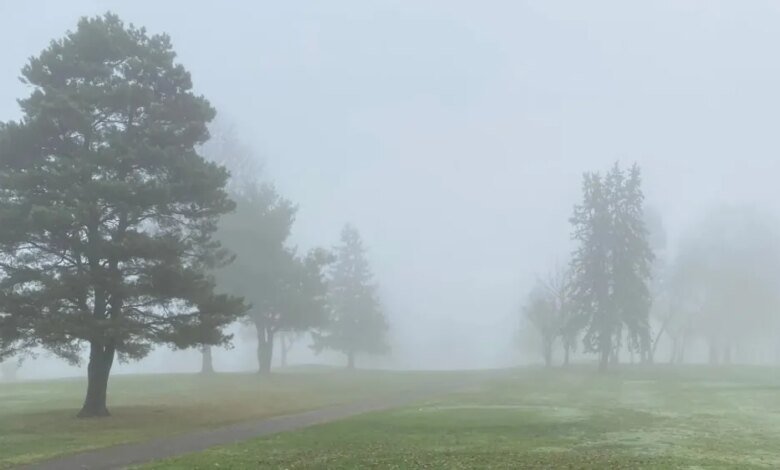 حتى-8-صباحًا.-ضباب-خفيف-على-أجزاء-من-المنطقة-الشرقية