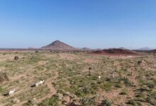 صور|-الطبيعة-الخلابة-تجذب-المتنزهين-إلى-وادي-الجريرة-جنوب-خيبر