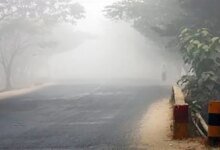 طقس-الشرقية.-ضباب-على-العديد-خلال-ساعات-الصباح-الباكر