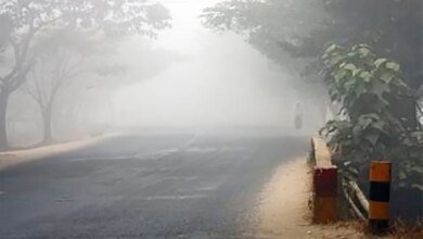 طقس-الشرقية.-ضباب-على-العديد-خلال-ساعات-الصباح-الباكر