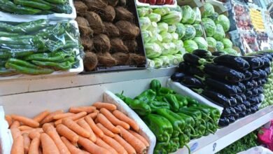 مع-أطلالة-شهر-رمضان.-ارتفاع-في-أسعار-الخضار-والفواكه-بالأحساء