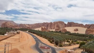 طرقات-العُلا.-لوحة-بصرية-تمتد-بين-التكوينات-الجبلية-وواحات-النخيل