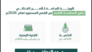 هيئة-الأمن-الغذائي-تطرح-المناقصة-الثانية-لاستيراد-655-ألف-طن-قمح