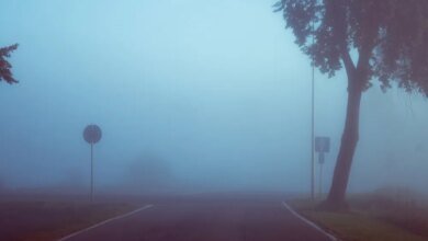 أمطار-متوسطة-على-الشرقية.-وموجة-ضباب-حتى-الثالثة-مساءً