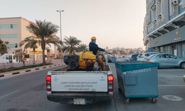 «أمانة-الشرقية»-تحاصر-الآفات-بـ-122-طن-مبيدات-وتعقم-أحياء-الدمام