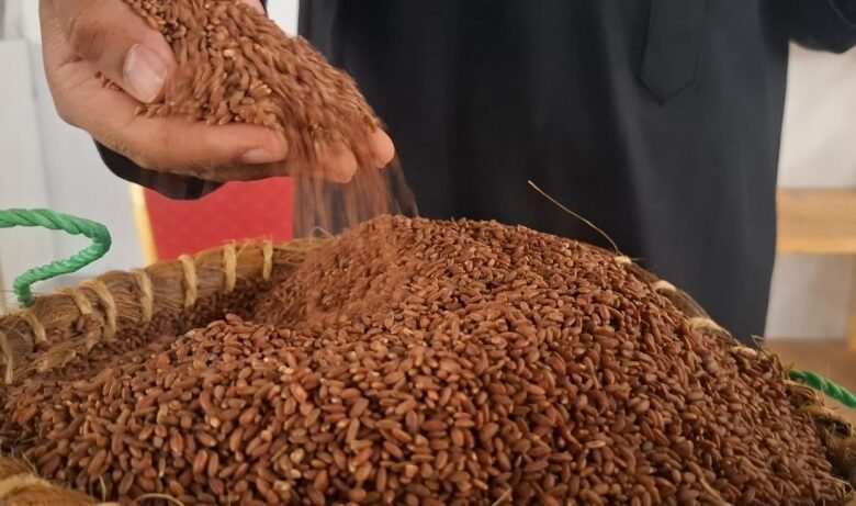 آيس-كريم-وكوكيز-بالرز-الحساوي.-ابتكارات-غذائية-جديدة-تخطف-الأنظار-في-الأحساء