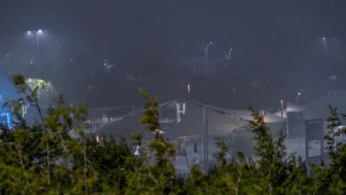 شاهد|-السحاب-وأشجار-الغابات-متعة-بصرية-تميّز-شتاء-الباحة