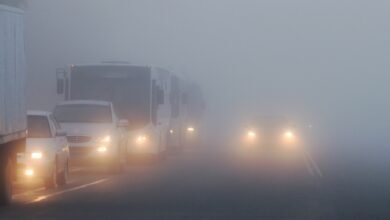 طقس-الشرقية.-ضباب-وشبه-انعدام-في-الرؤية-حتى-9-صباحا