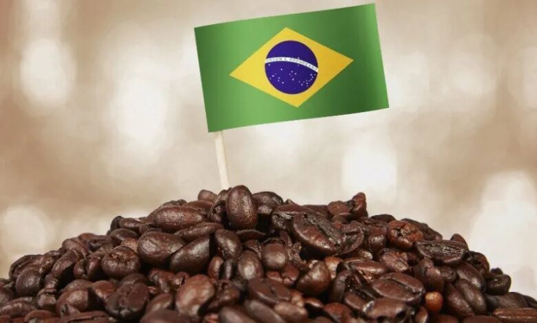 البرازيل-تتوقّع-محصولًا-قياسيًا-من-البن-في-2026