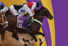 سباقات-ميدان-الفروسية-بحائل-تدعم-السياحة-وتعزز-الحراك-الترفيهي