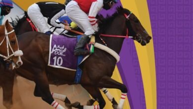 سباقات-ميدان-الفروسية-بحائل-تدعم-السياحة-وتعزز-الحراك-الترفيهي