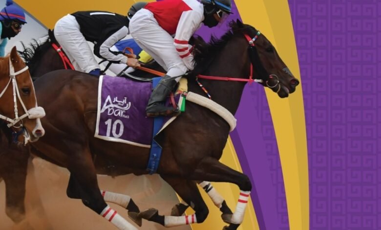 سباقات-ميدان-الفروسية-بحائل-تدعم-السياحة-وتعزز-الحراك-الترفيهي