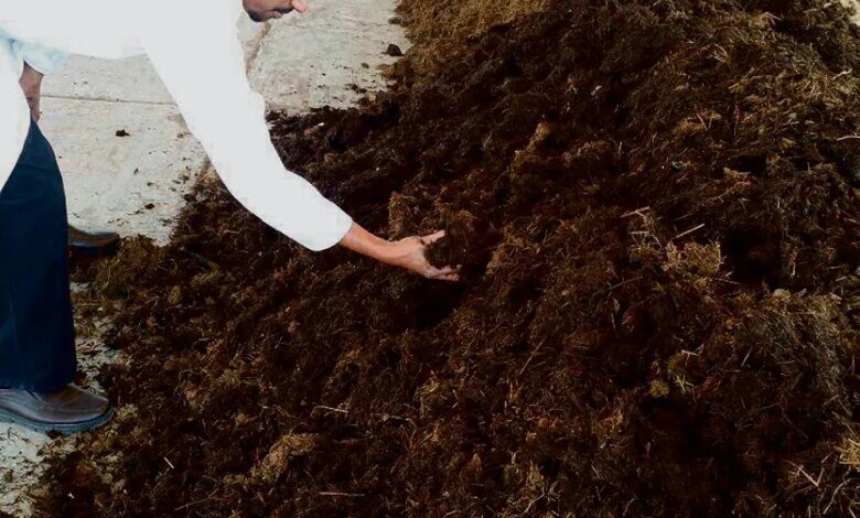 على-مساحة-100-ألف-متر.-مشروع-لإنتاج-الأسمدة-العضوية-بالأحساء