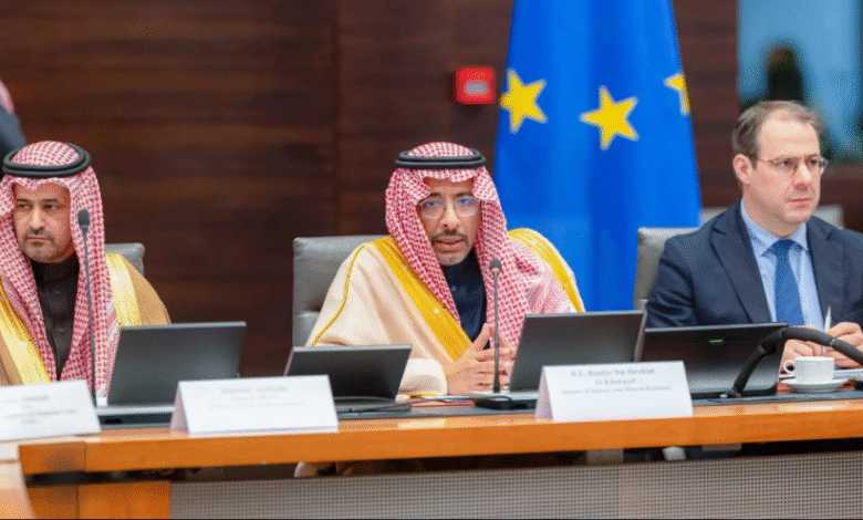 وزير-الصناعة-يرأس-اجتماع-الطاولة-المستديرة-مع-ممثلي-القطاع-الخاص-البلجيكي