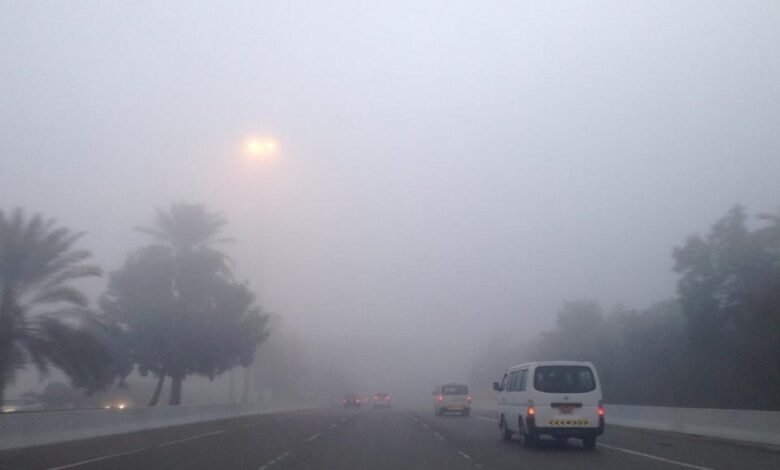 طقس-الشرقية.-تنبيه-من-ضباب-خفيف-على-6-محافظات-حتى-8-صباحا
