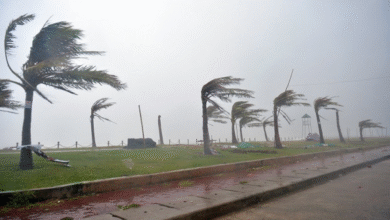 حتى-الثامنة-مساءً.-رياح-نشطة-وأتربة-مثارة-على-المنطقة-الشرقية