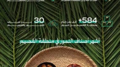 بنحو-584-ألف-طن-و30-صنفاً.-تمور-القصيم-تُزيّن-موائد-رمضان