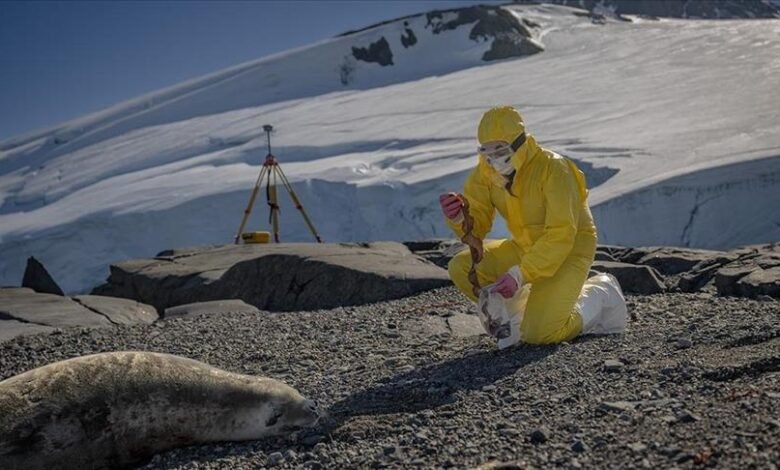 في-قلب-الجليد.-علماء-أتراك-يستكشفون-حلولا-صحية-وزراعية