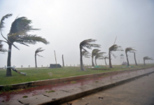 تبدأ-9-صباحًا.-رياح-نشطة-وتدني-الرؤية-على-أجزاء-من-الشرقية