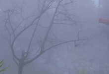 صور-|-الباحة-تحت-الضباب-والأمطار.-مشاهد-طبيعية-ساحرة-تجذب-الزوار