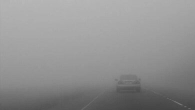 إنذار-أحمر.-ضباب-كثيف-على-الشرقية-خلال-ساعات-الصباح-الباكر