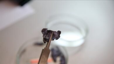 برقائق-نانوية.-علماء-أتراك-يحولون-الحرارة-المهدورة-إلى-كهرباء