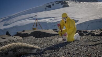 في-قلب-الجليد.-علماء-أتراك-يستكشفون-حلولا-صحية-وزراعية