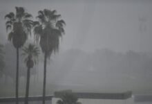 طقس-الصباح-الباكر.-ضباب-خفيف-وأمطار-متوسطة-على-الشرقية