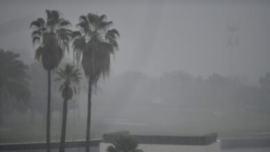 طقس-الصباح-الباكر.-ضباب-خفيف-وأمطار-متوسطة-على-الشرقية