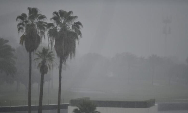 طقس-الصباح-الباكر.-ضباب-خفيف-وأمطار-متوسطة-على-الشرقية