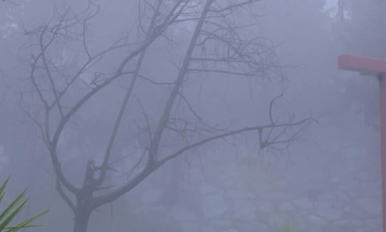 صور-|-الباحة-تحت-الضباب-والأمطار.-مشاهد-طبيعية-ساحرة-تجذب-الزوار