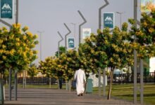 حائل-تكثف-أعمال-التجميل-والتشجير-استعدادًا-لاستقبال-عيد-الفطر