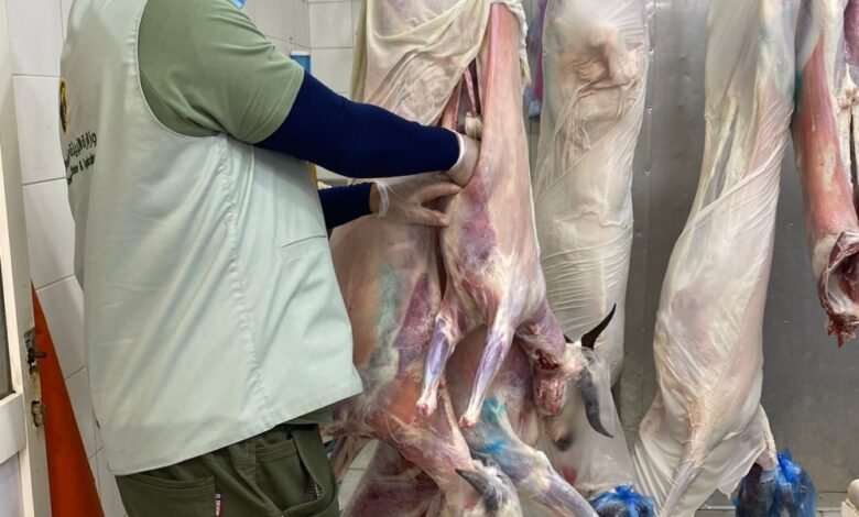 آليات-دقيقة-وتقنيات-حديثة-لضبط-جودة-اللحوم-في-سوق-الدمام-المركزي