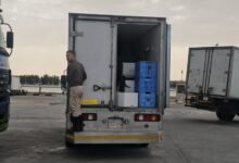 فيديو|-«أسماك-الشرقية»-تغذي-موائد-الخليج.-ضخ-80-طنًا-يوميًا-لتعزيز-الأمن-الغذائي