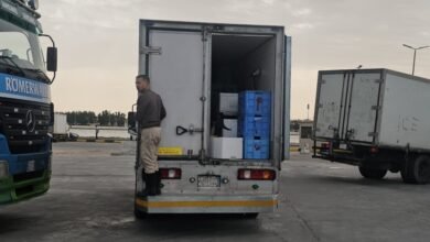 فيديو|-«أسماك-الشرقية»-تغذي-موائد-الخليج.-ضخ-80-طنًا-يوميًا-لتعزيز-الأمن-الغذائي