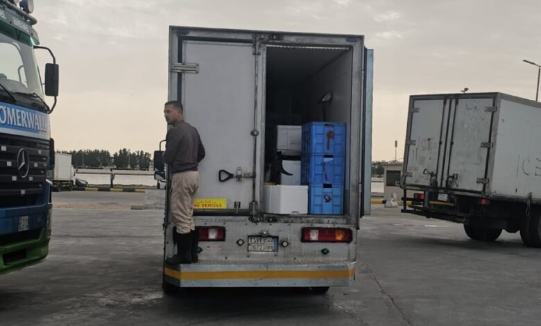 فيديو|-«أسماك-الشرقية»-تغذي-موائد-الخليج.-ضخ-80-طنًا-يوميًا-لتعزيز-الأمن-الغذائي