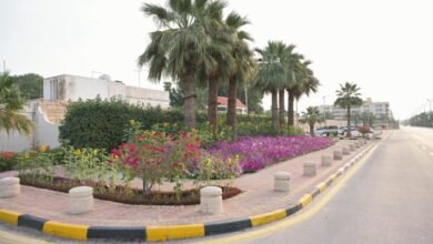 تجهيز-1224-مرفقًا-عامًا-وواجهة-بحرية-لاستقبال-عيد-الفطر-في-الشرقية