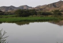 صور|-الأجواء-الماطرة-تزيّن-عيد-الفطر-في-عسير