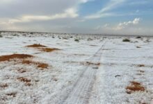 في-مشهد-جذاب.-سهول-الجوف-تكتسي-بالأبيض-عقب-هطول-زخات-البرد