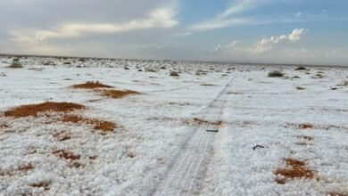 في-مشهد-جذاب.-سهول-الجوف-تكتسي-بالأبيض-عقب-هطول-زخات-البرد