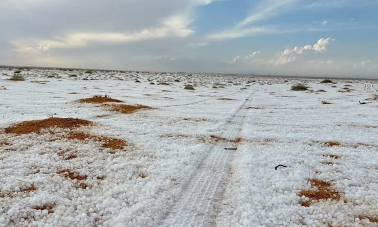 في-مشهد-جذاب.-سهول-الجوف-تكتسي-بالأبيض-عقب-هطول-زخات-البرد