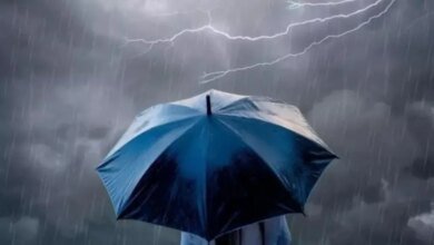 طقس-الصباح-الباكر.-أمطار-متوسطة-وضباب-على-أجزاء-من-الشرقية