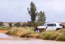 بعد-الأمطار.-اعتدال-الأجواء-يعزز-الإقبال-على-المتنزهات-في-القصيم