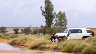 بعد-الأمطار.-اعتدال-الأجواء-يعزز-الإقبال-على-المتنزهات-في-القصيم