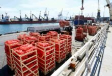 باكستان-تتحرك-لتعزيز-صادراتها-الغذائية-إلى-دول-الخليج