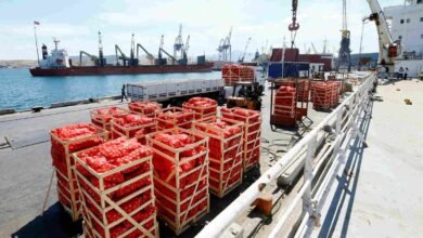 باكستان-تتحرك-لتعزيز-صادراتها-الغذائية-إلى-دول-الخليج