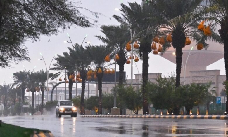 طقس-الشرقية. أمطار-وضباب-على-هذه-المحافظات-حتى-9-صباحا